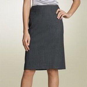 Theory Women's Professional Corporate Business Gray Wool Golda Skirt, NWT,  12